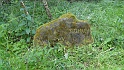 Ritterstein Nr. 027-2 Signal